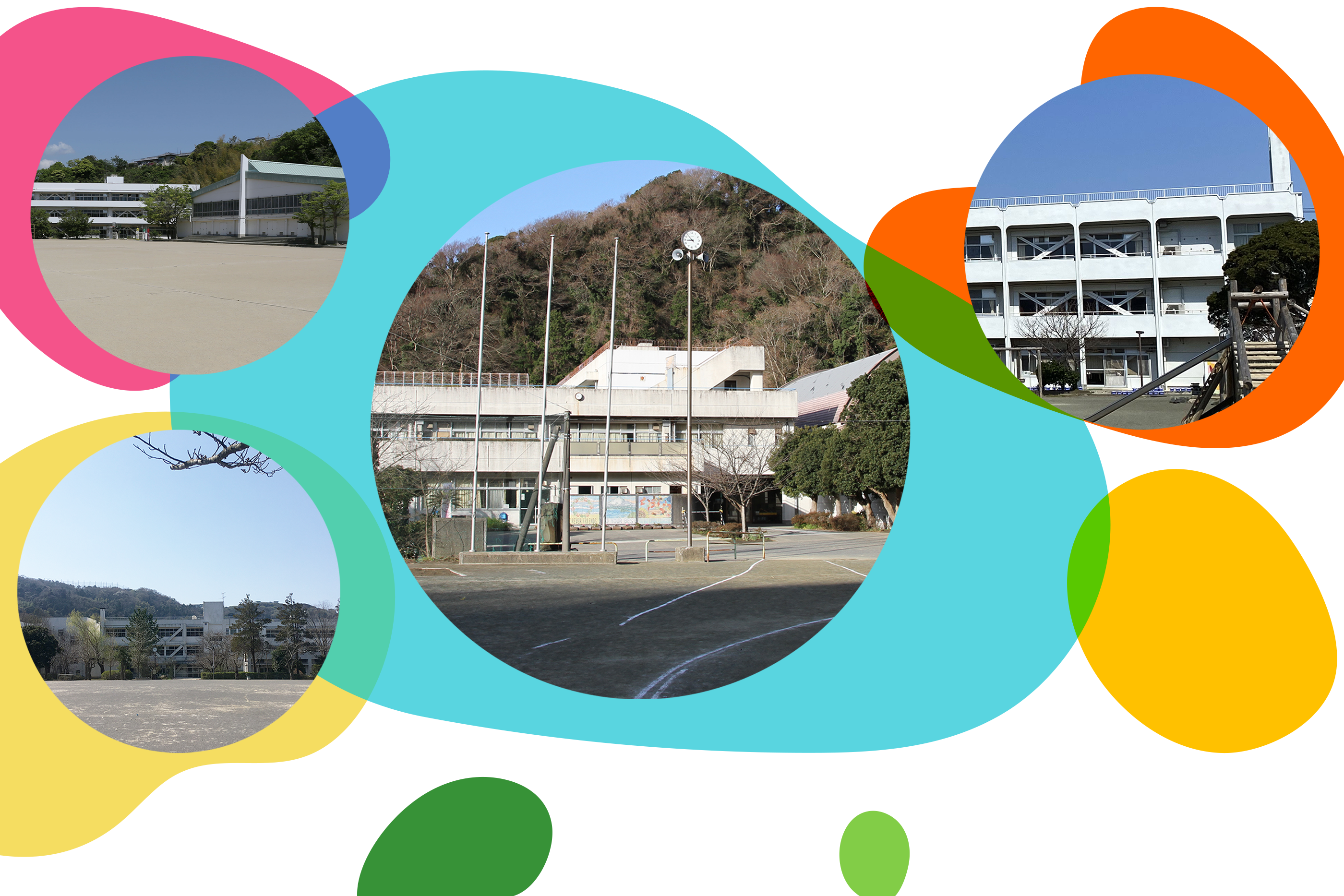 葉山中学校、葉山小学校、上山口小学校、一色小学校